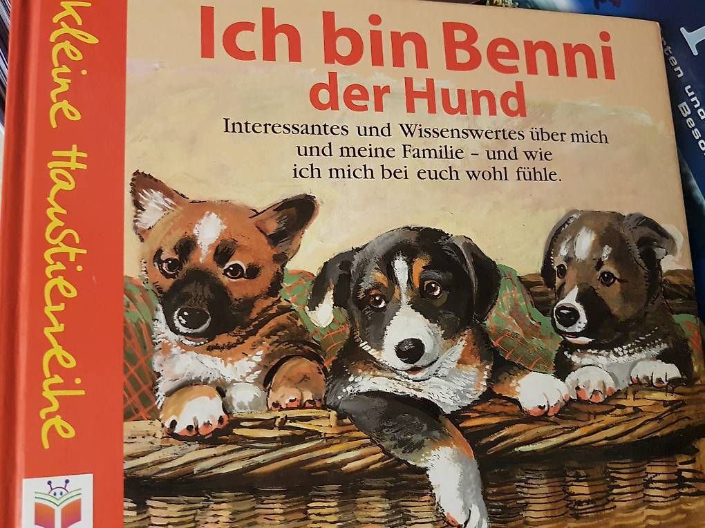 Bücher:  Bücher/Kinder – Gebraucht aus Nürensdorf von conceicao74
