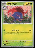 Duflor 002/080 (Japanisch)