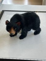 Stuffed bear toy black approx.(S21)