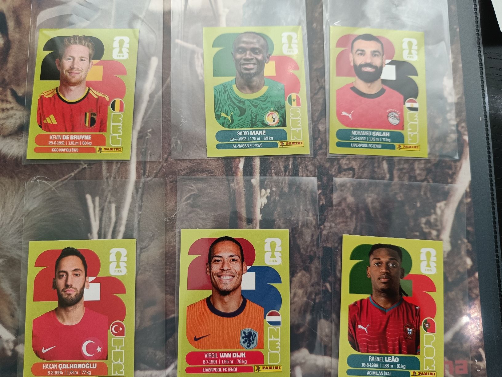 Panini Carte collezionabili: Panini Sticker: De Bruyne, Salah, Mané, Van Dijk, Calhanoglu – Usato da Rorschach venduto da Laboumedeluxe
