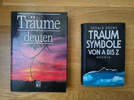 2 Bücher Thema Träume