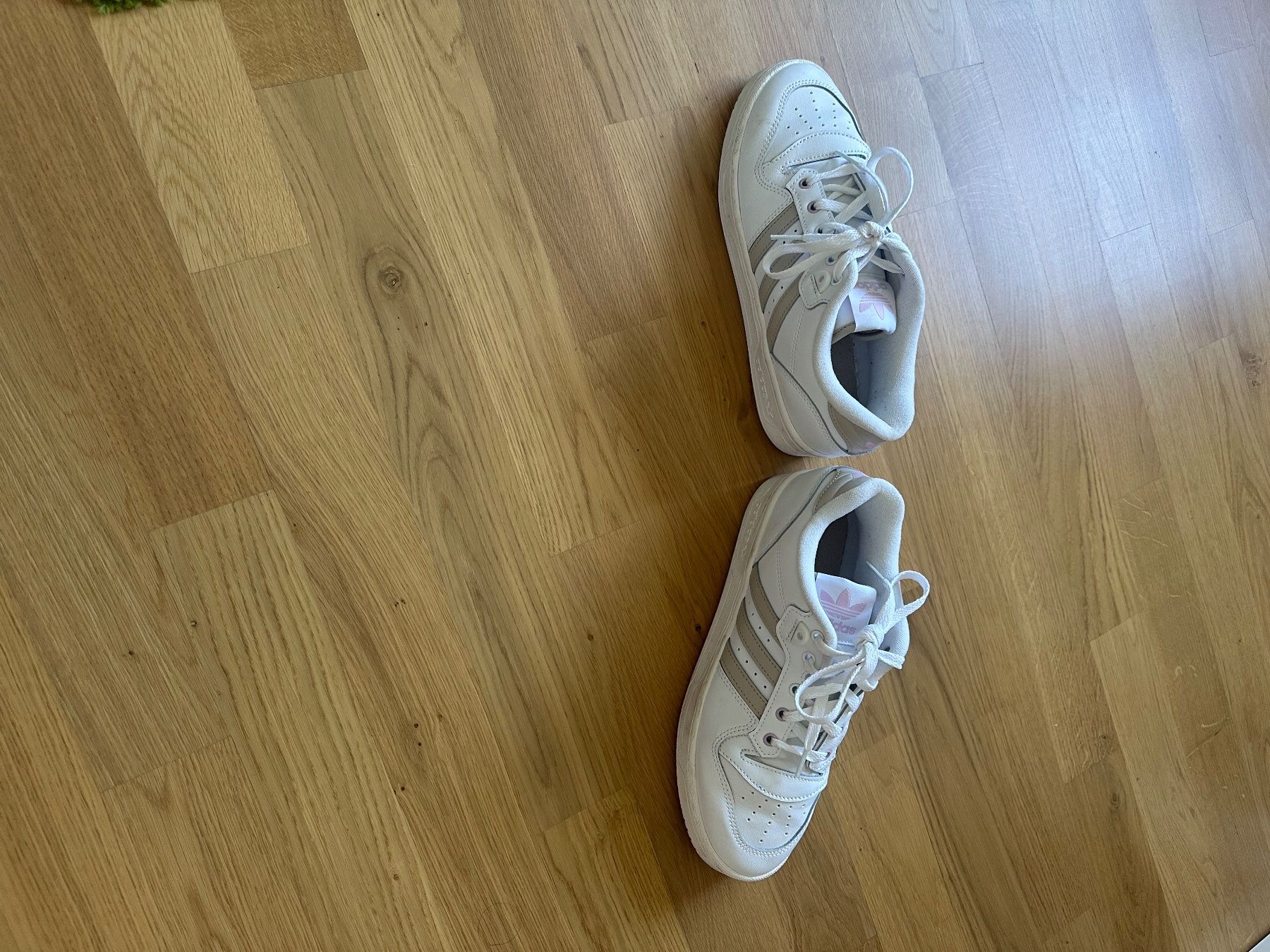 Chaussures femmes: Adidas Sneakers – D'occasion à Bergdietikon par Bluegrass 3