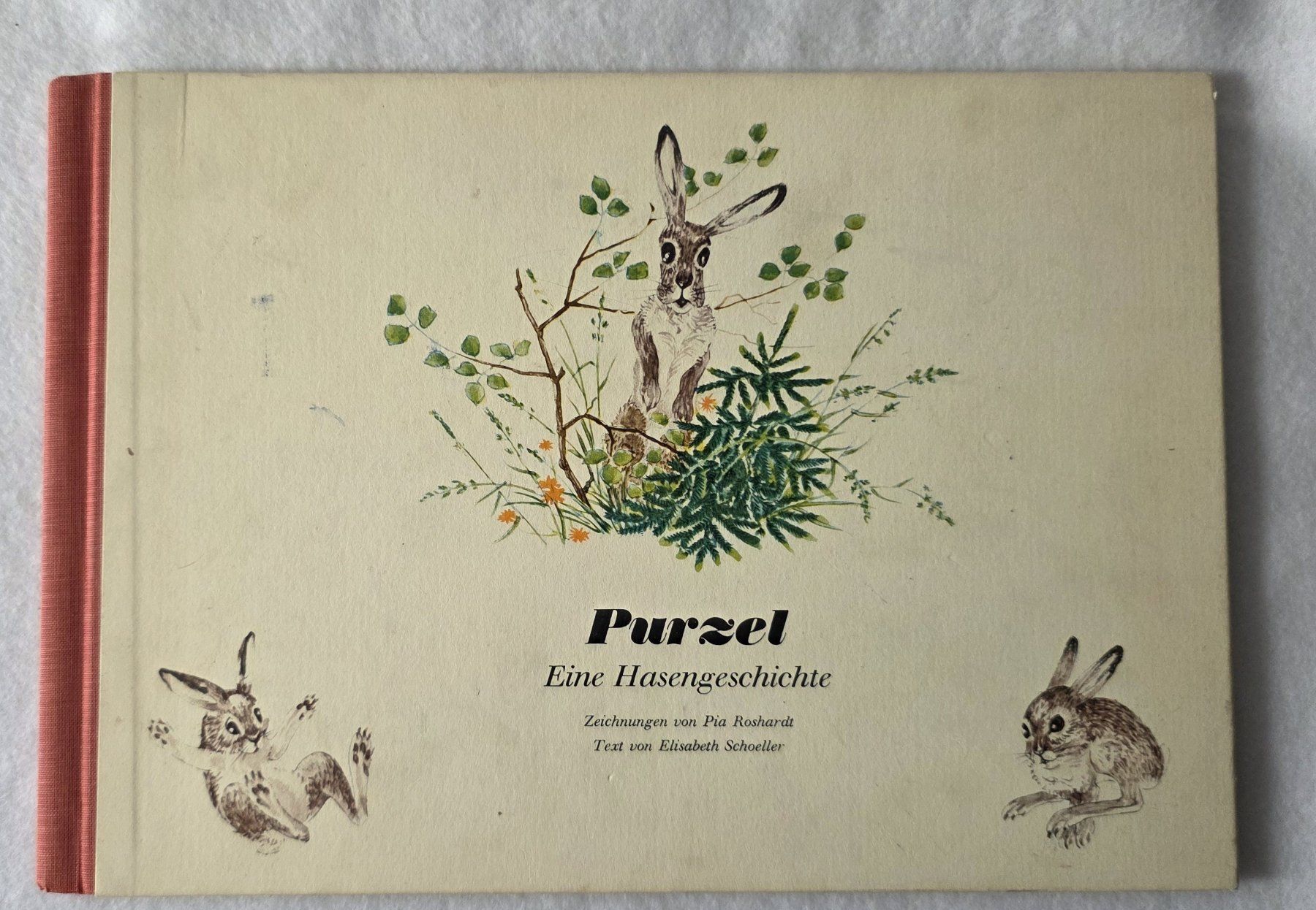 Bücher: Antikes Kinderbuch "Purzel, eine Hasengeschichte" top! – Gebraucht aus Oetwil am See von fineli2