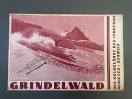 Prospekt Grindelwald «Das Ski-Gelände / Jungfrau Skifahren