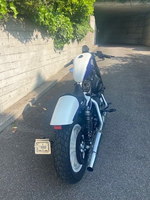 Harley-Davidson Chopper: Harley Davidson XL 883 R ABS – Usato da Männedorf venduto da peaches1ch 2