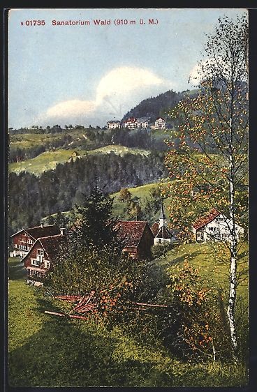 Ansichtskarten: AK Wald /ZH, Sanatorium mit Birke, 1917 – Gebraucht aus Berlin von bartko-reher