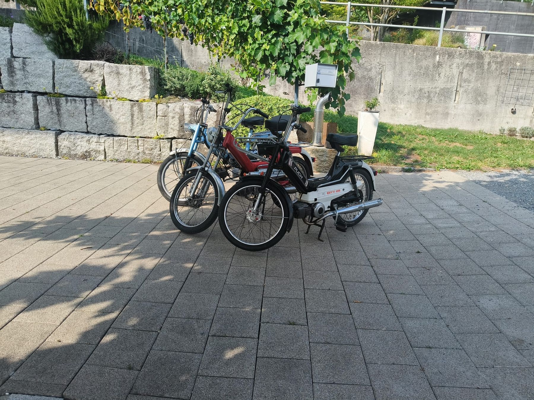Puch Ciclomotori: 2x Puch maxi + Mezger – Usato da Heiligkreuz (Mels) venduto da Ragusa2025 5