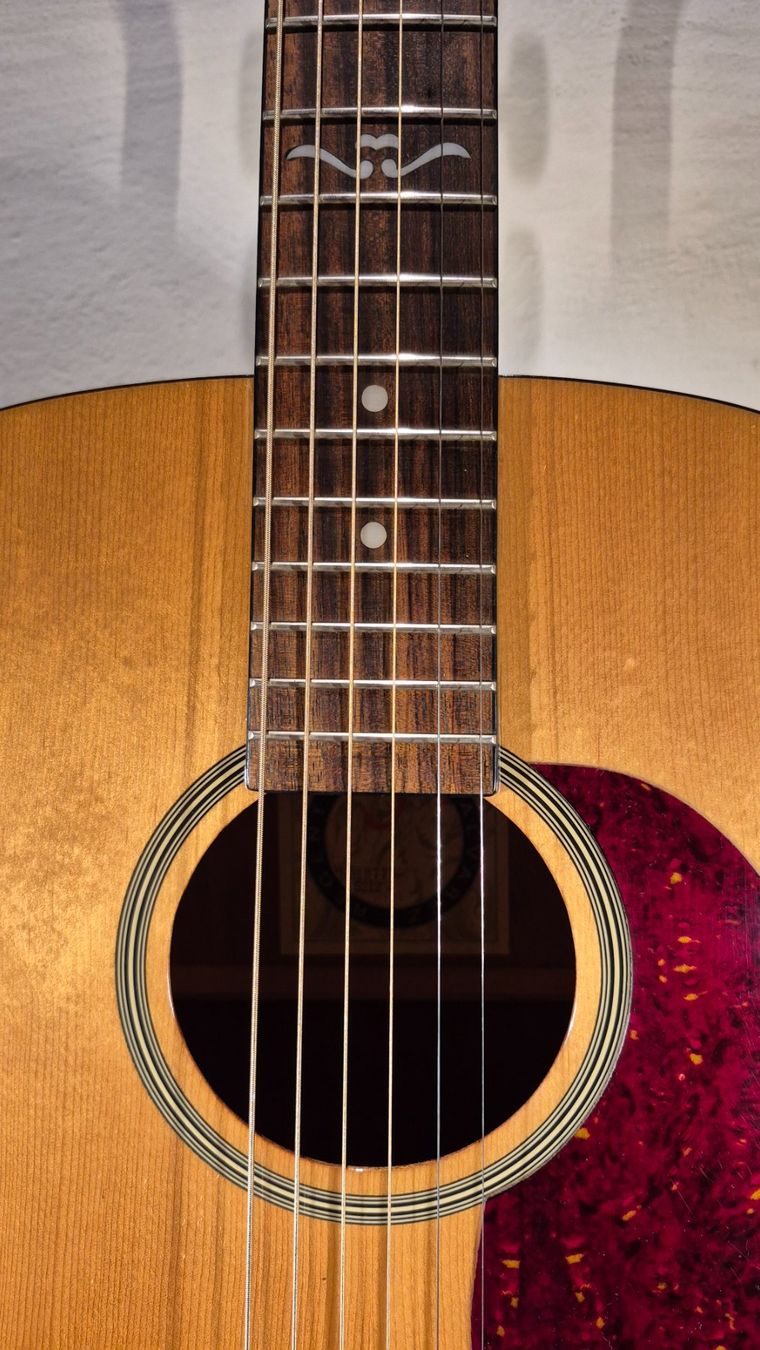 Strumenti musicali: Western Gitarre Alvarez Regent 5212 – Usato da Winterthur venduto da NorrSydGuitars 5