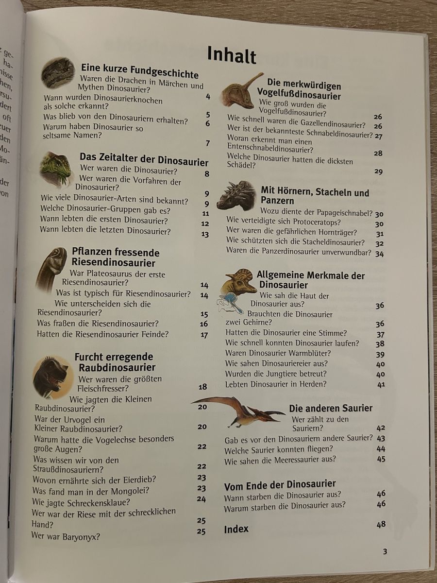 Libri: Dinosaurier – Usato da Arbon venduto da Bobbyx777 4