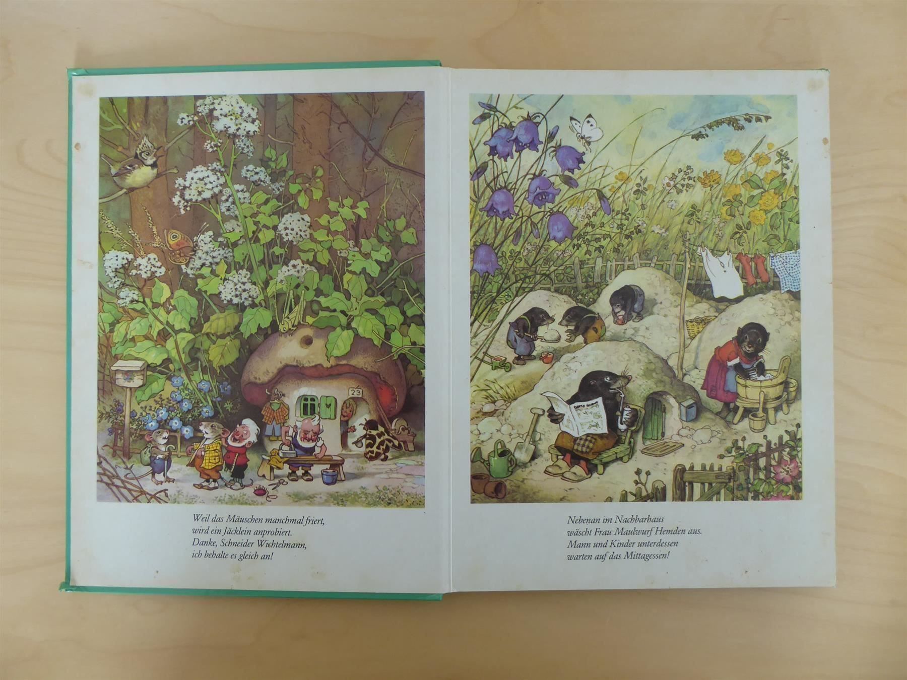 Livres: Bilderbuch Troll auf Wanderschaft, neu – Neuf (Voir description) à Turbenthal par TopToys 1