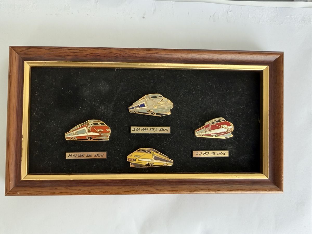 SBB/CFF/FFS Placchette & Badge: Pins TGV – Usato da Le Sentier venduto da AZenuni