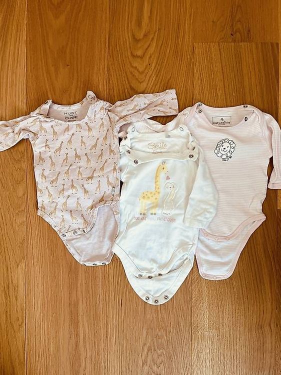 Bebe habits hotsell