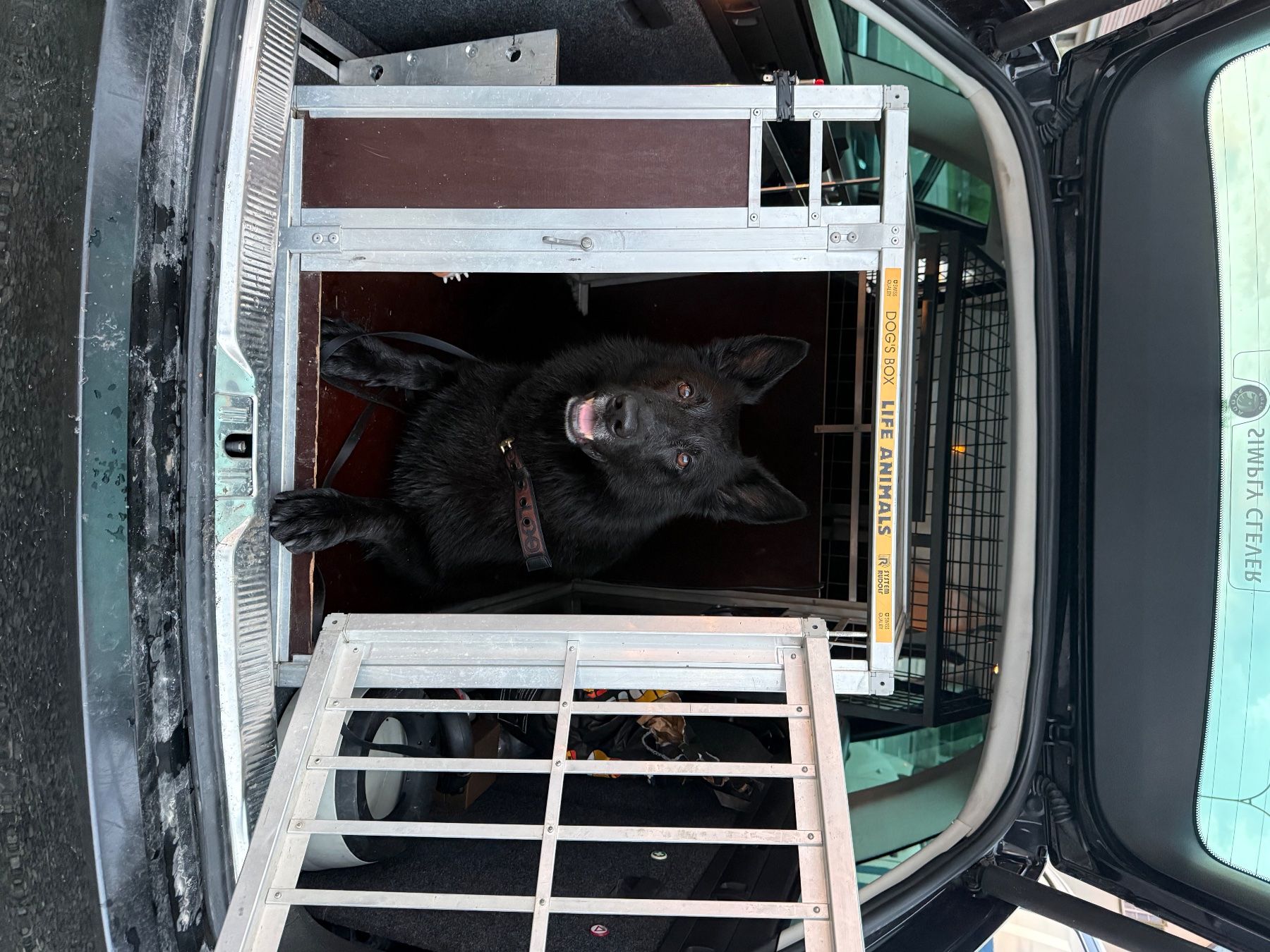 Gabbie, trasporto & Sicurezza: Hundebox – Usato da Pfyn venduto da LF28 2