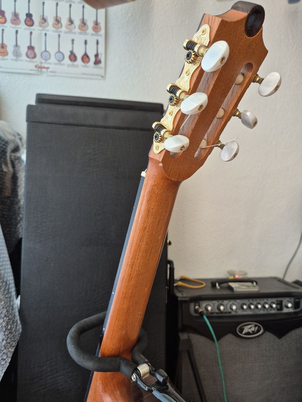 Strumenti musicali: lakewood Gitarre Linkshänder – Usato da Dielsdorf venduto da 7TheRockDoc9 5