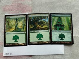 Magic The Gathering Forest