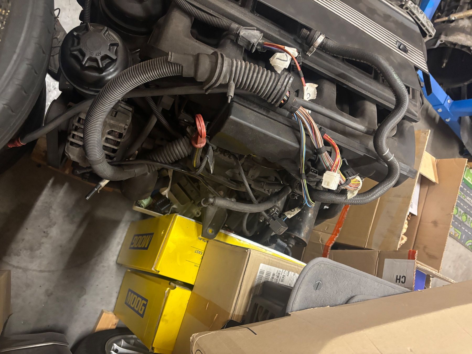 BMW Automobili: BMW 330ci E46 Projektauto – Difettoso da Brunnen venduto da drummerface 9
