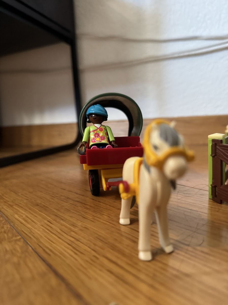 Giocattoli: Playmobil Spirit Set mit Pferden – Usato da Bremgarten AG venduto da NIKSELBREM 1