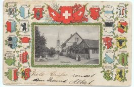 SALMSACH bei Romanshorn - Präge-AK Wappen Kantone Schweiz