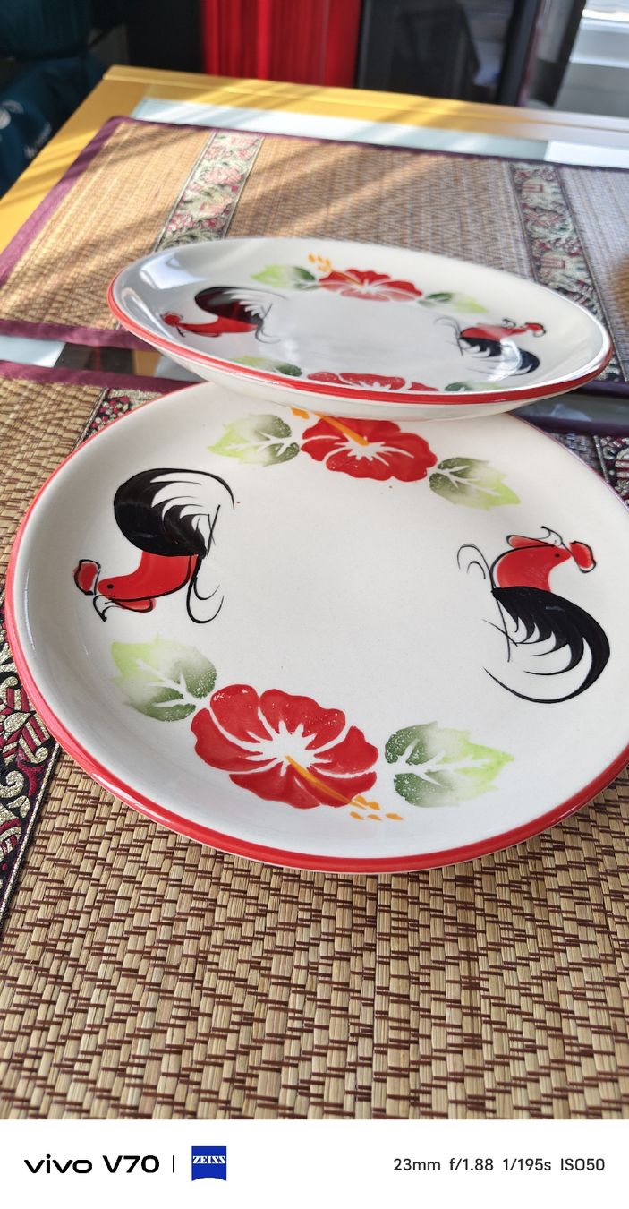Set di piatti: Céramiques de Thaïlande set – Usato da Sugiez venduto da clo_76gd 1
