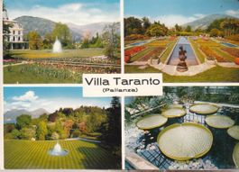 Pallanza, Giardini Villa Taranto, Leperello ca. 1960