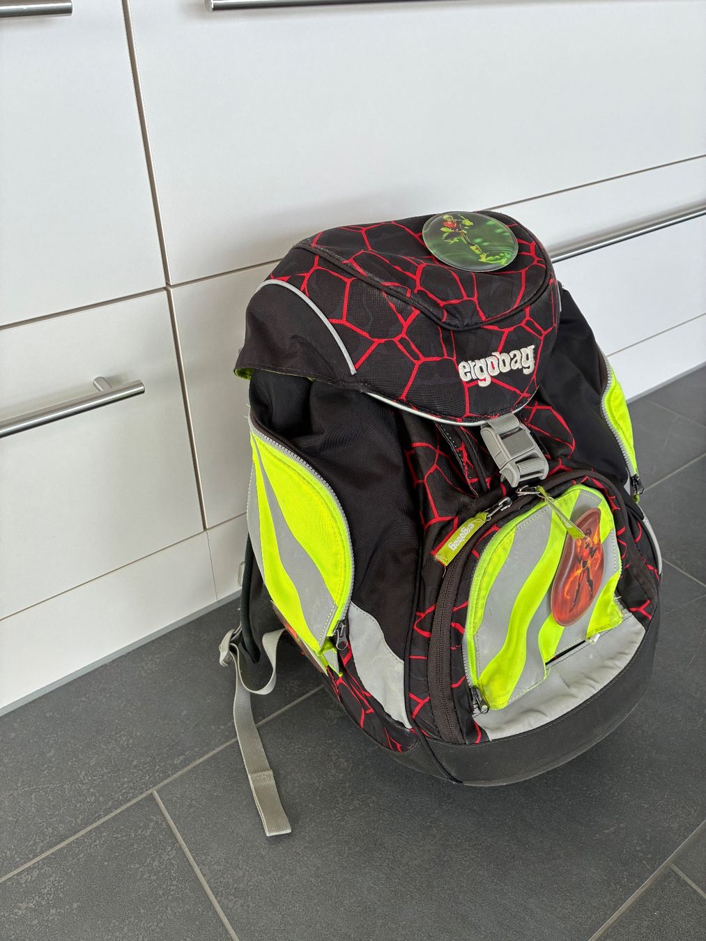 Ergobag Borse & Zaini: Schulrucksack Ergobag – Usato da Riedholz venduto da humi01 4