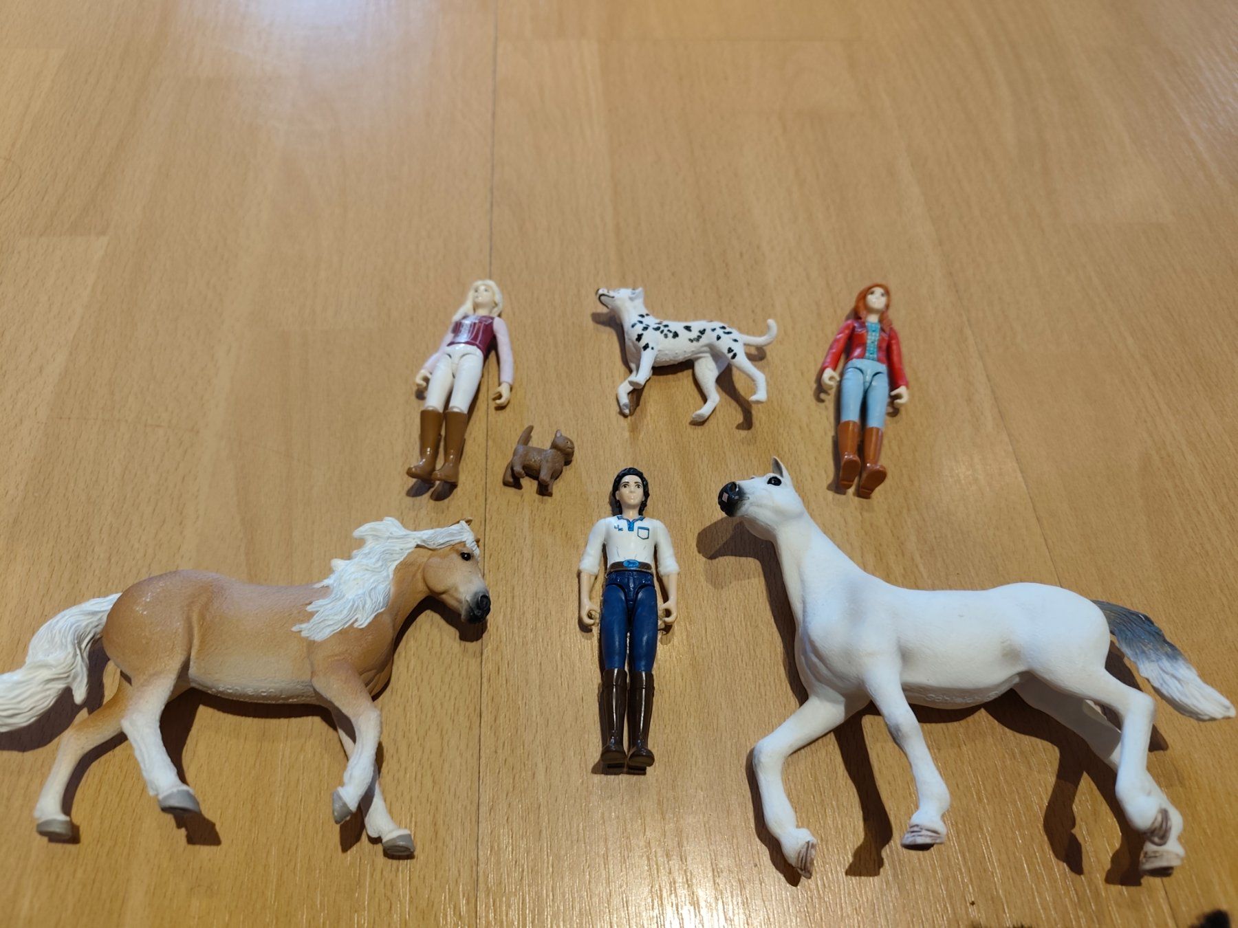 Schleich : Schleich 42639 Reithalle – D'occasion à Tegerfelden par jea_f5xk 2