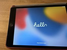 Apple iPad Mini 4 128GB Wi-Fi Space Gray mit Hülle