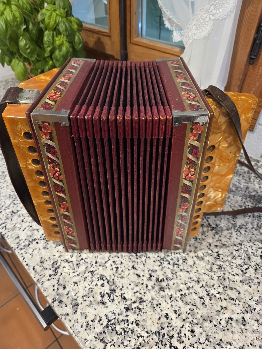 Instruments de musique: Schwyzerörgeli – D'occasion à Dietwil par mb54 2