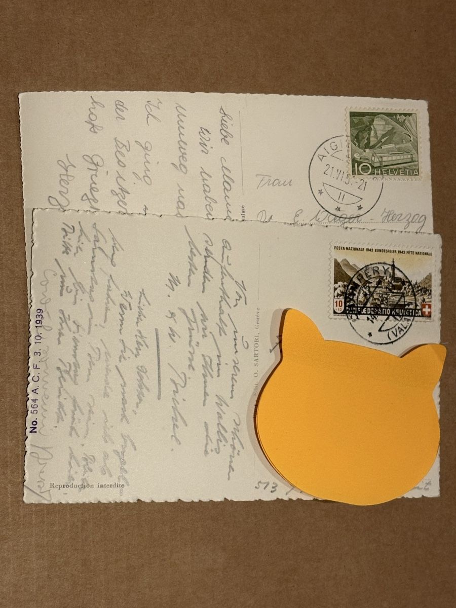 Cartoline postali: AK von Champery – Usato da Rümlang venduto da Kartenpost1 1