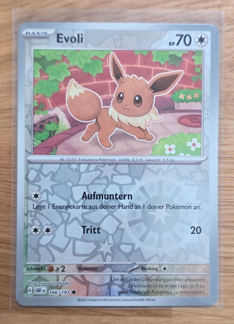 Pokémon Carte collezionabili: Evoli 166/197 – Nuovo (secondo la descrizione) da Arbon venduto da Twist05
