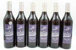 6x Pinot Noir Urbanoir (26080464Z)