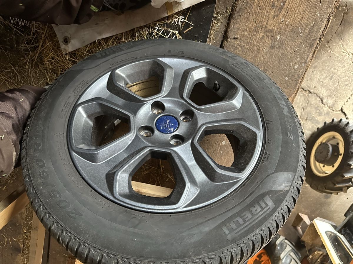 Ford Cerchioni: Felgen Ford EcoSport 1.0 SCTI – Usato da Pohlern venduto da lev_25gk 1