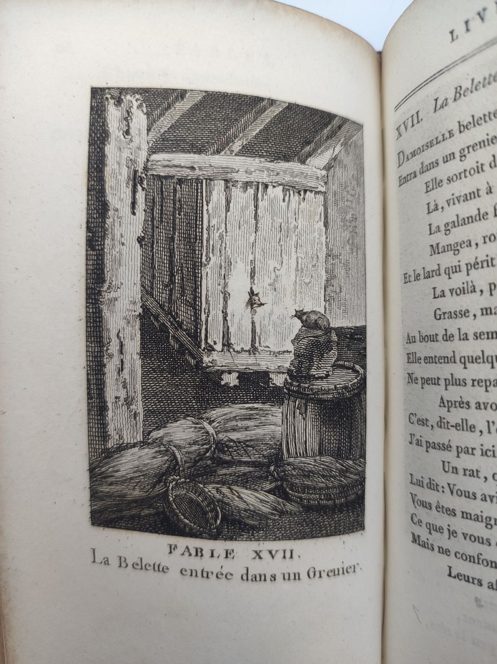 Libri: EINBÄNDE - Maroquin-Einband – Usato da Goldach venduto da Gaip 5