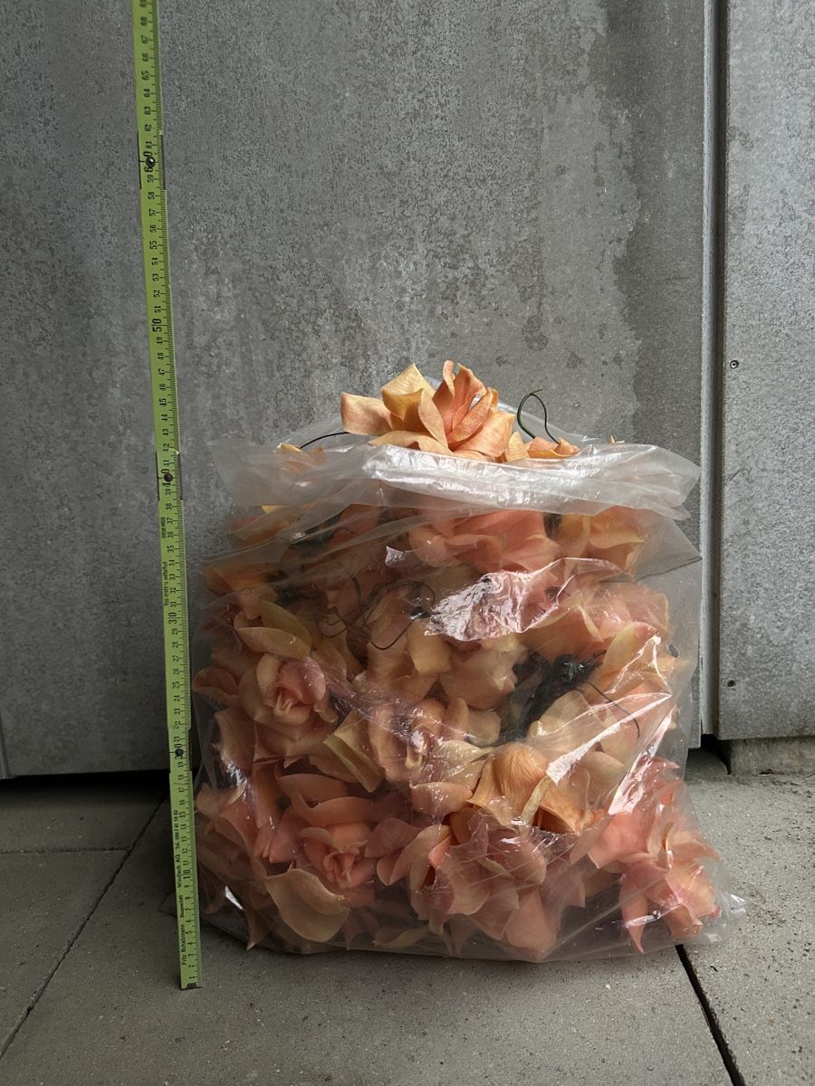 Alle Dekorationen: Künstliche Rosen – Gebraucht aus Windisch von nin_rtk7 1