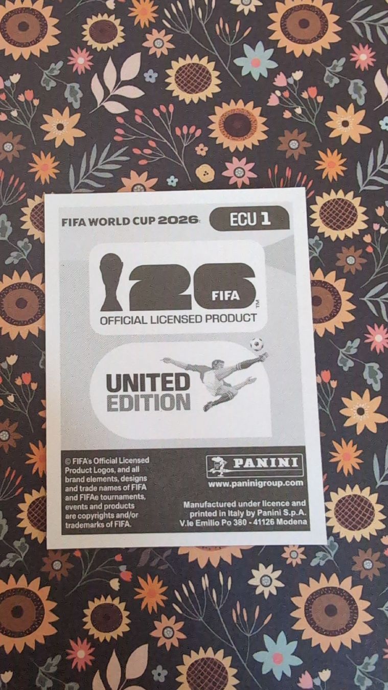 Panini Cartes à collectionner: ECU 1 - PANINI - FIFA WM 1026 – Neuf (Voir description) à Bauma par tobiaskl 1