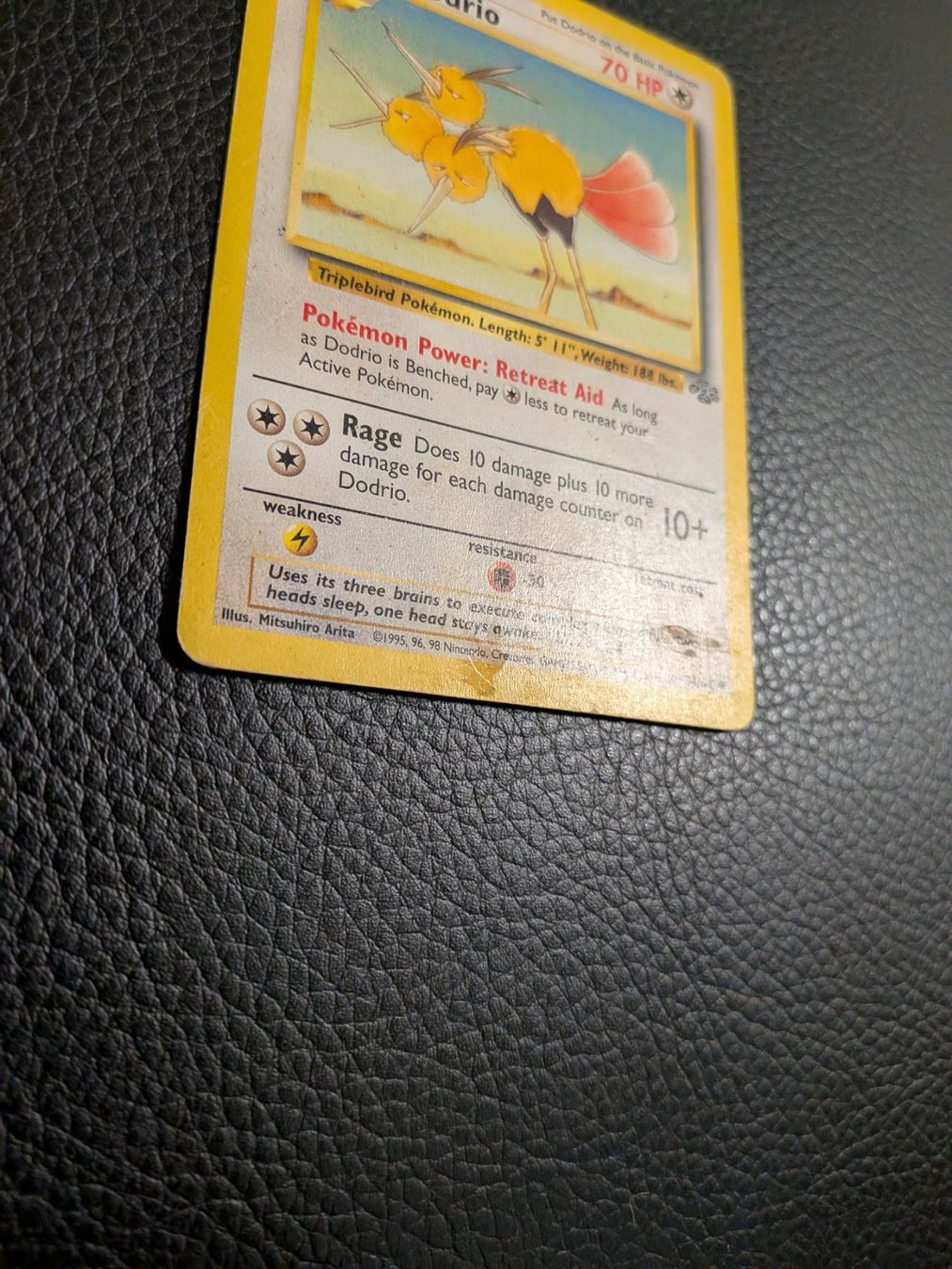 Pokémon Carte collezionabili: Jungle Dodrio 34/64 Ab 1 – Usato da Paradiso venduto da Pkmn10 1