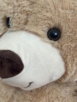 Grosser Teddybär sucht neues Zuhause