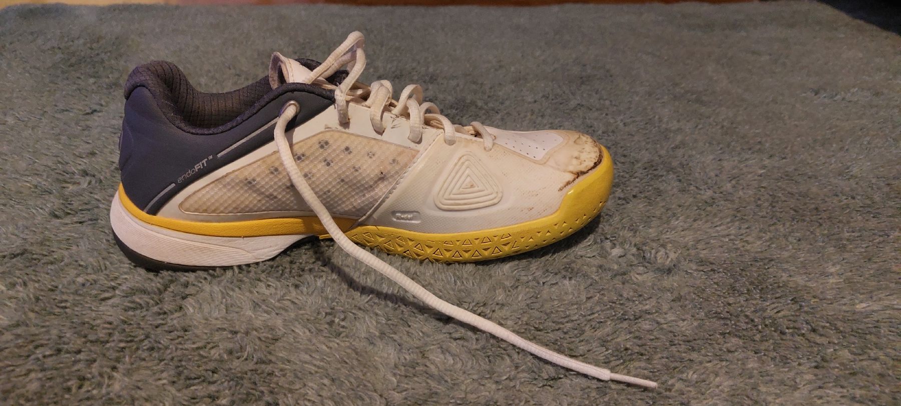 Wilson Scarpe da uomo: Wilson Tennisschuhe – Usato da Schaffhausen venduto da lia_6dpb 2