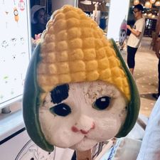 Profile image of nadin.nadin2