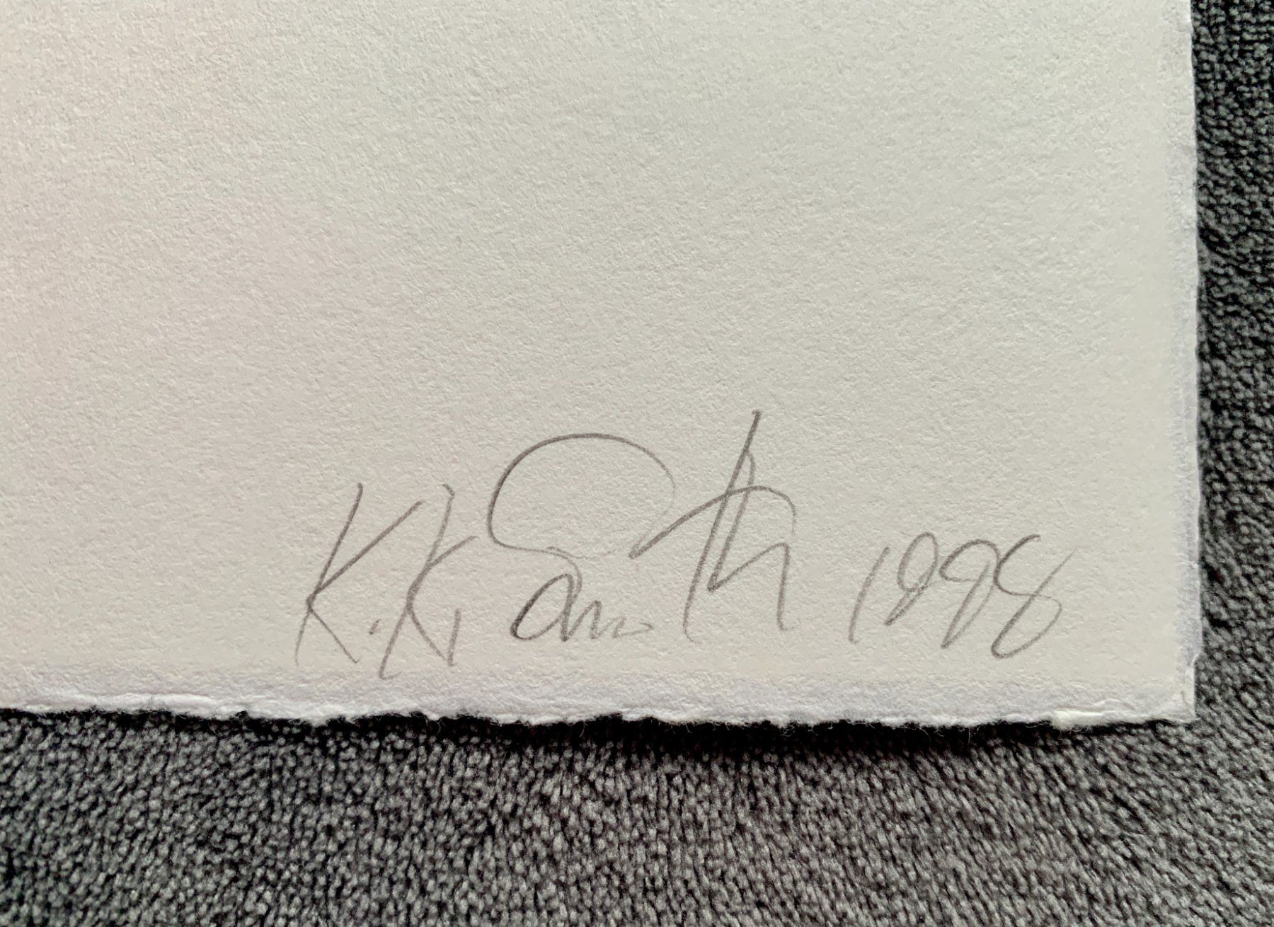 Grafiken & Lithographien: Kiki Smith – Lithographie Moth – Gebraucht aus Regensdorf von JoergR 2