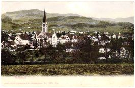 WETZIKON Generalansicht im Sommer ca. 1905 (ZH)