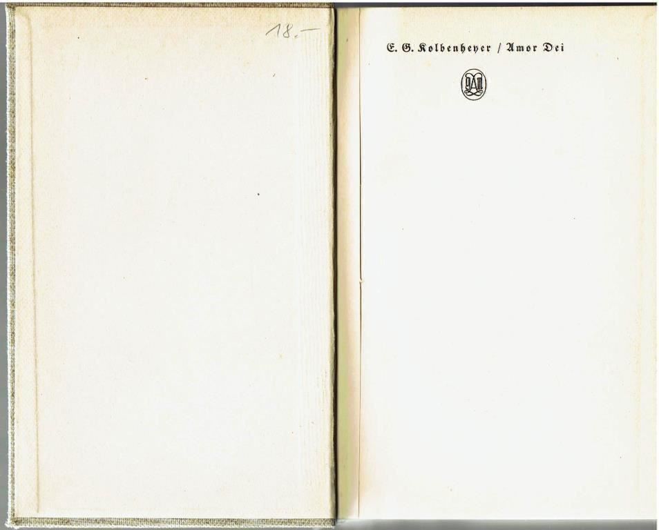 Bücher: AMOR DEI - Ein Spinoza-Roman – Gebraucht aus Flims - Dorf von Stagediver 1