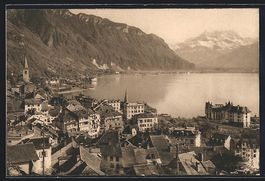Montreux, Vue Générale et la Dent du M