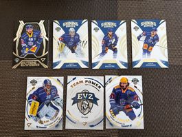 Cartes spéciales - Sportzoo EV Zug