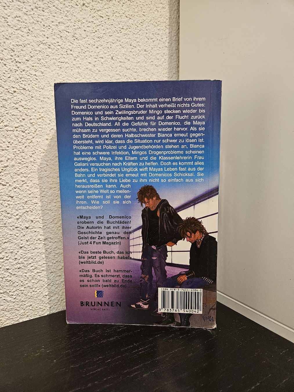 Libri: Bücherreihe Maya und Domenico – Usato da Buttisholz venduto da craftergirl 7