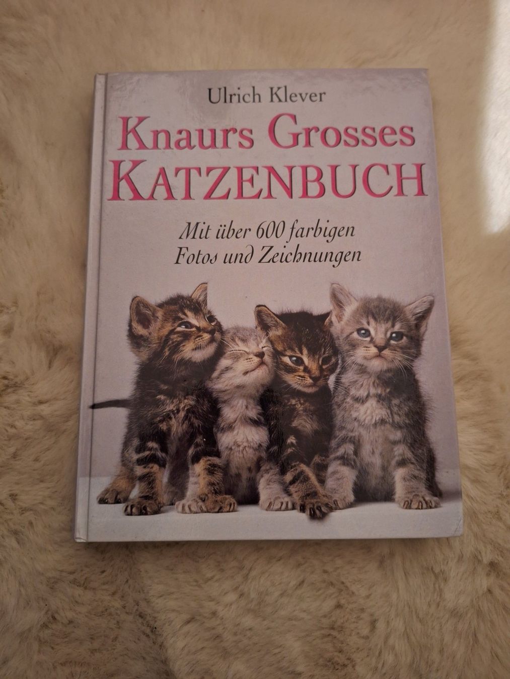 Bücher: Katzenbuch – Gebraucht aus Wanzwil von chlinih93