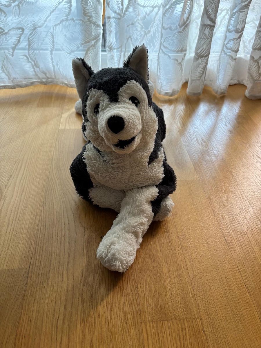 Ikea Spielzeuge: Hund Husky Stofftier Ikea  – Gebraucht aus Balsthal von Inty200