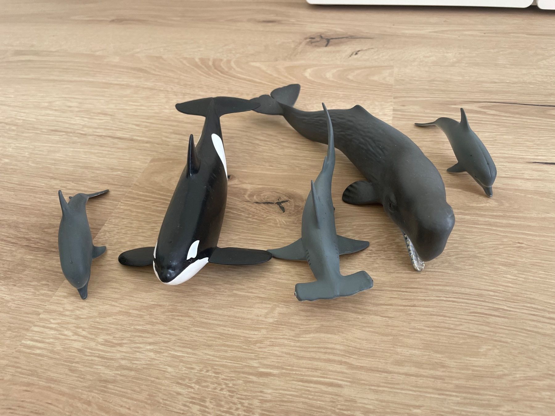 Schleich Statuette: 5 St Schleich Figuren Meerestiere – Usato da Menziken venduto da mti_7vqf