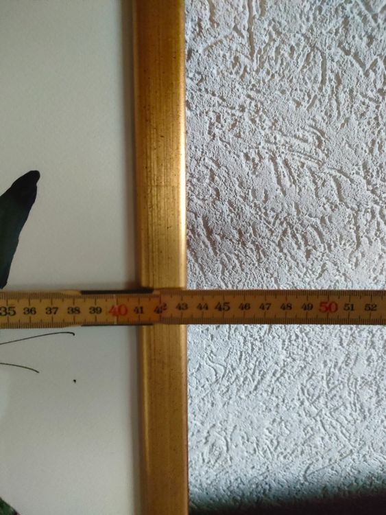 Rosina Wachtmeister Katzen Bild gerahmt 4