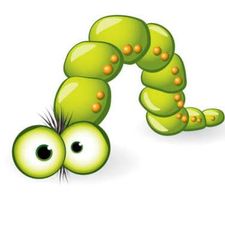 Profile image of Holzwurm0v0
